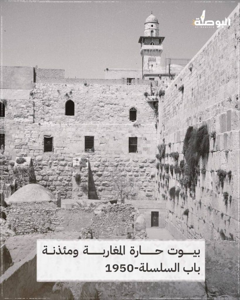 photo 2025 06 14 01 08 40