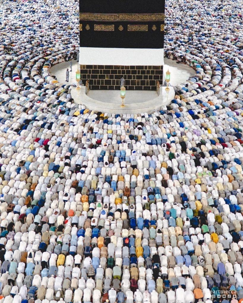 photo 2025 06 14 01 18 29