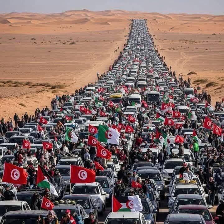 photo 2025 06 14 01 22 33