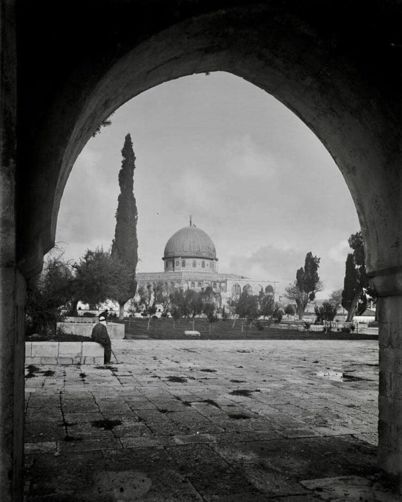 photo 2025 06 14 01 26 21