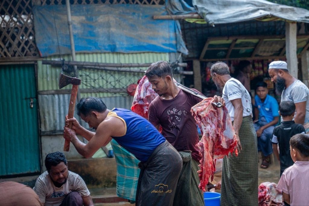 photo 2025 06 14 01 33 20