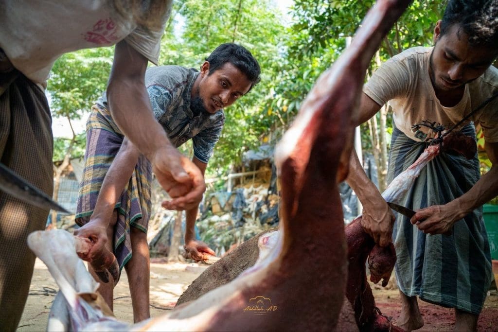 photo 2025 06 14 01 33 24