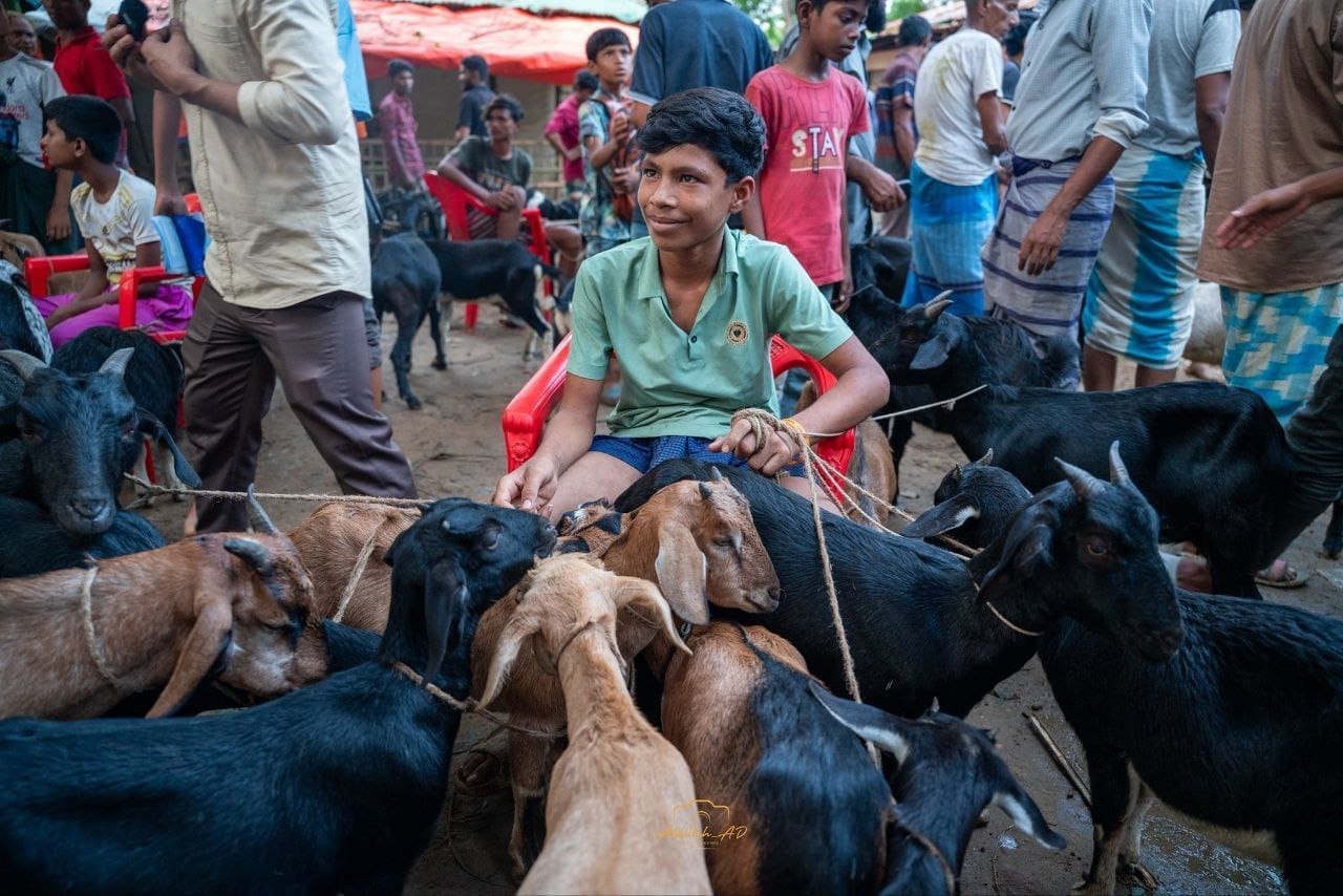 photo 2025 06 14 01 33 27