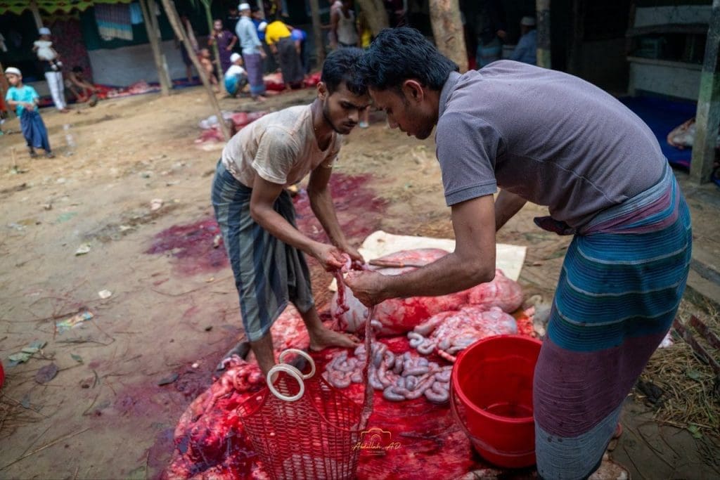 photo 2025 06 14 01 33 31