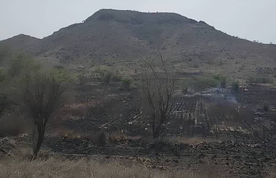 photo 2025 06 20 23 09 44