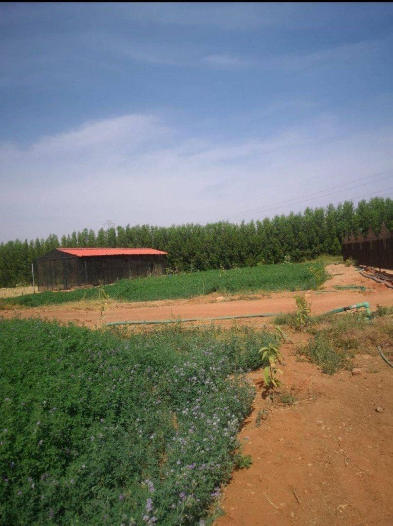 photo 2025 06 20 23 23 20