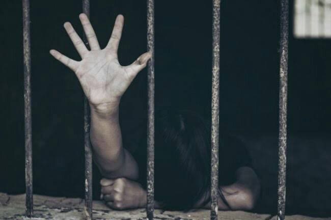 ٢٠٢٥٠٦٢٦ ٠٩١١٥٦