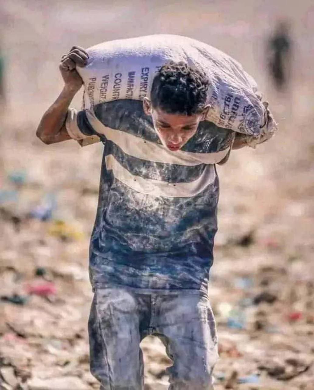 تقرير وصل الأسبوعي للعالم الإسلامي: أبرز أحداث الأسبوع الأول من مُحرّم