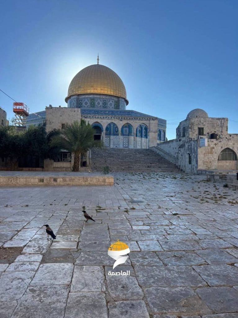 IMG 20250718 231018 805