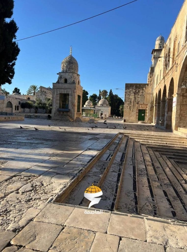 IMG 20250718 231019 009