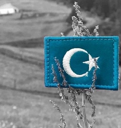 Uyghur Flag East Turkestan