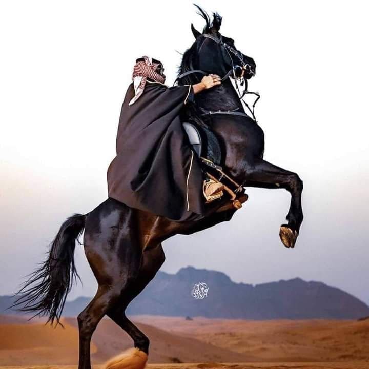 bb4775b0 ab9a 4964 8c8d 0e996e8c0bd1