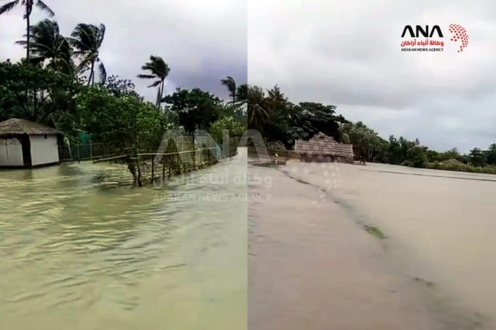 تقرير وصل الأسبوعي للعالم الإسلامي: أبرز أحداث الأسبوع الرابع من مُحرّم 18 photo 2025 07 26 02 02 09