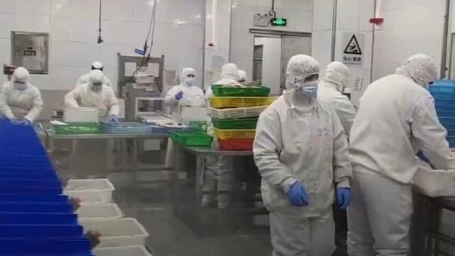 Uyghur workers Sanko Douyin Outlaw Ocean Project.f27a7f