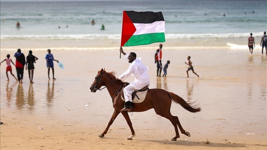 thumbs b c 60e63adb8bfebcb6612528b509766294