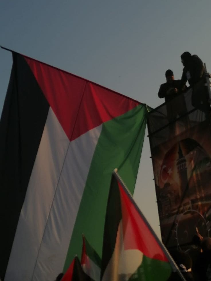 56c862e1 255a 4fac b9bc db6d1c4c0dd0