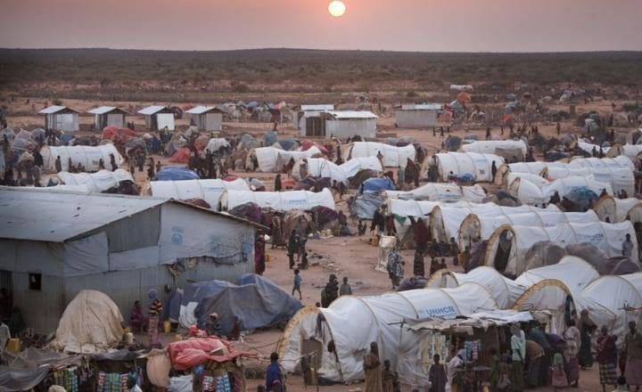 ناجون من حصار الفاشر في السودان يروون طرق الهروب المرعبة 35 ناجون من حصار الفاشر في السودان يروون طرق الهروب المرعبة