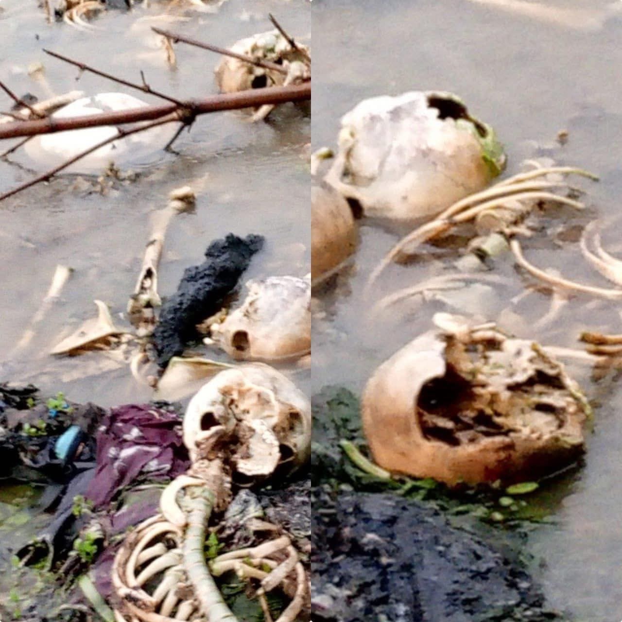 روايات الناجين من الروهينجا عن مجزرة نهر ناف في 1446هـ (الخامس من آب 2024) 29 روايات الناجين من الروهينجا عن مجزرة نهر ناف في 1446هـ (الخامس من آب 2024)