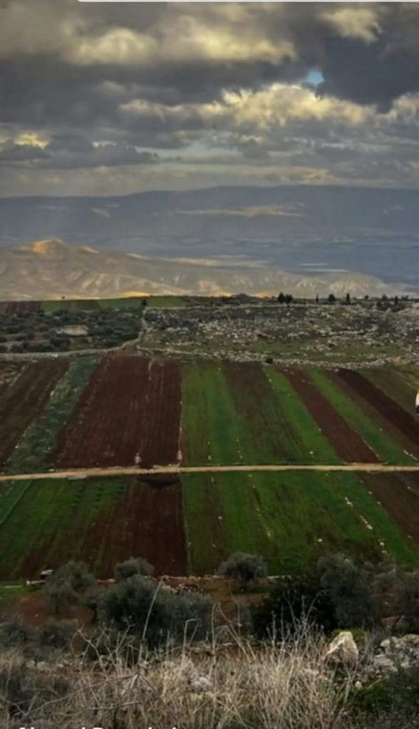 photo 2025 09 12 21 03 48