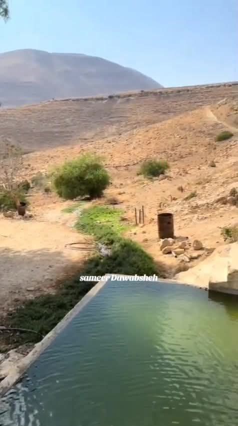 photo 2025 09 12 21 03 53