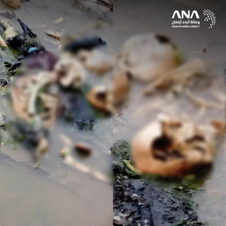 photo 2025 09 19 21 07 02