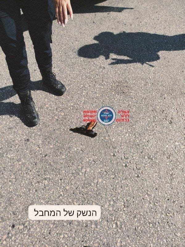 photo 2025 09 19 21 19 06