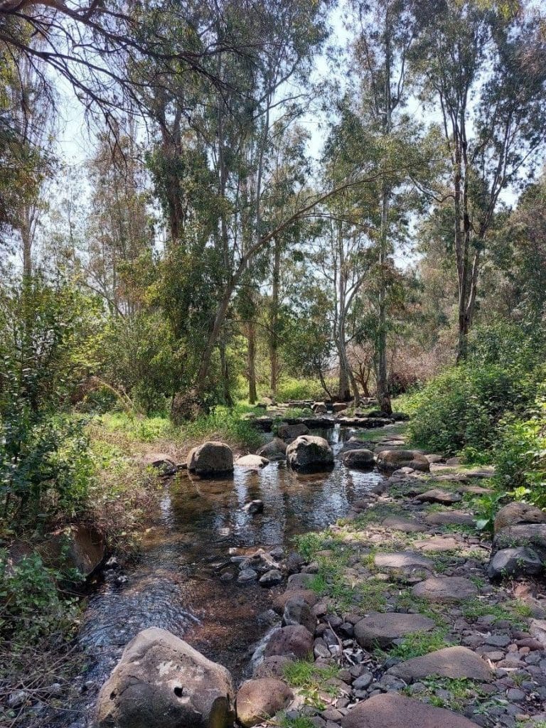 photo 2025 09 19 22 18 03