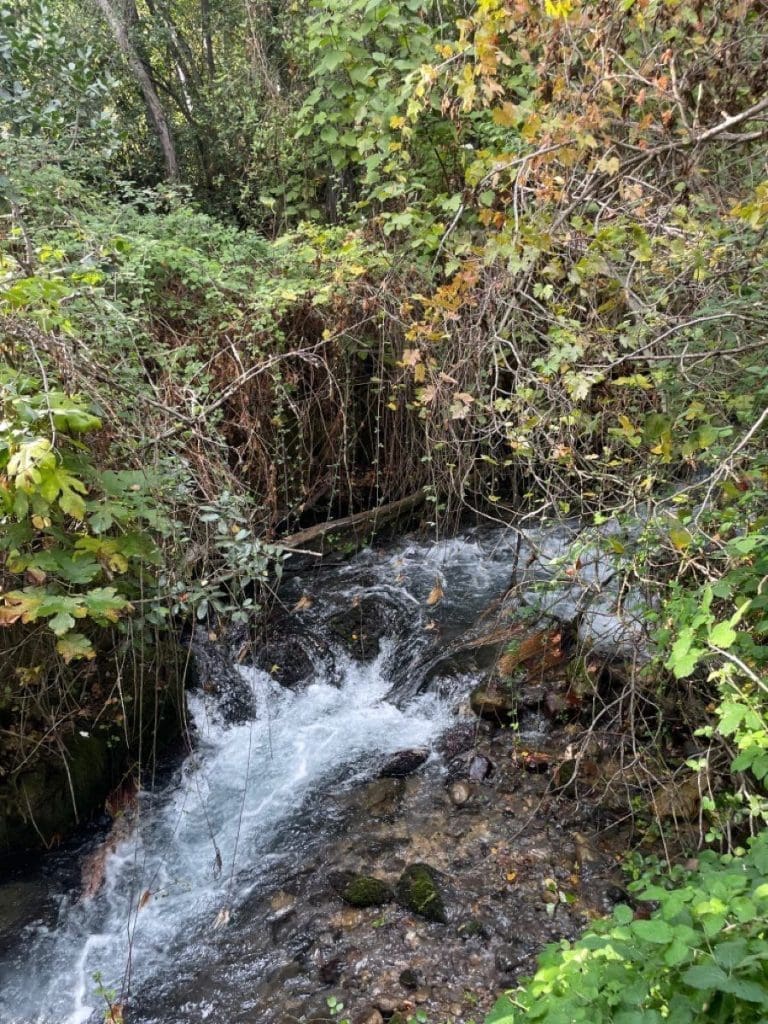 photo 2025 09 19 22 18 06