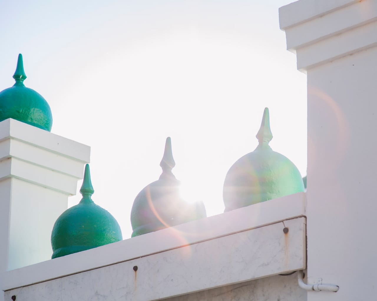 photo 2025 09 26 15 51 35