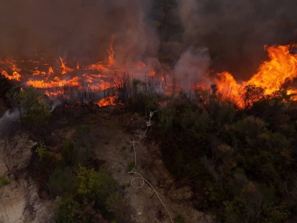 photo 2025 09 26 22 30 43