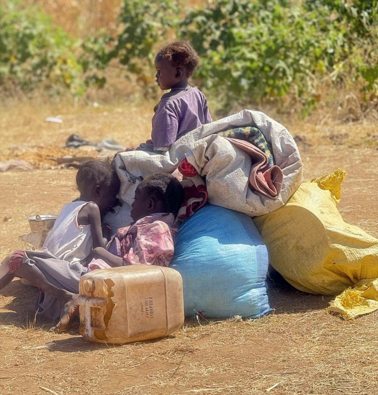 تقرير وصل الأسبوعي للعالم الإسلامي: أبرز أحداث الأسبوع الأول من جمادى الأولى