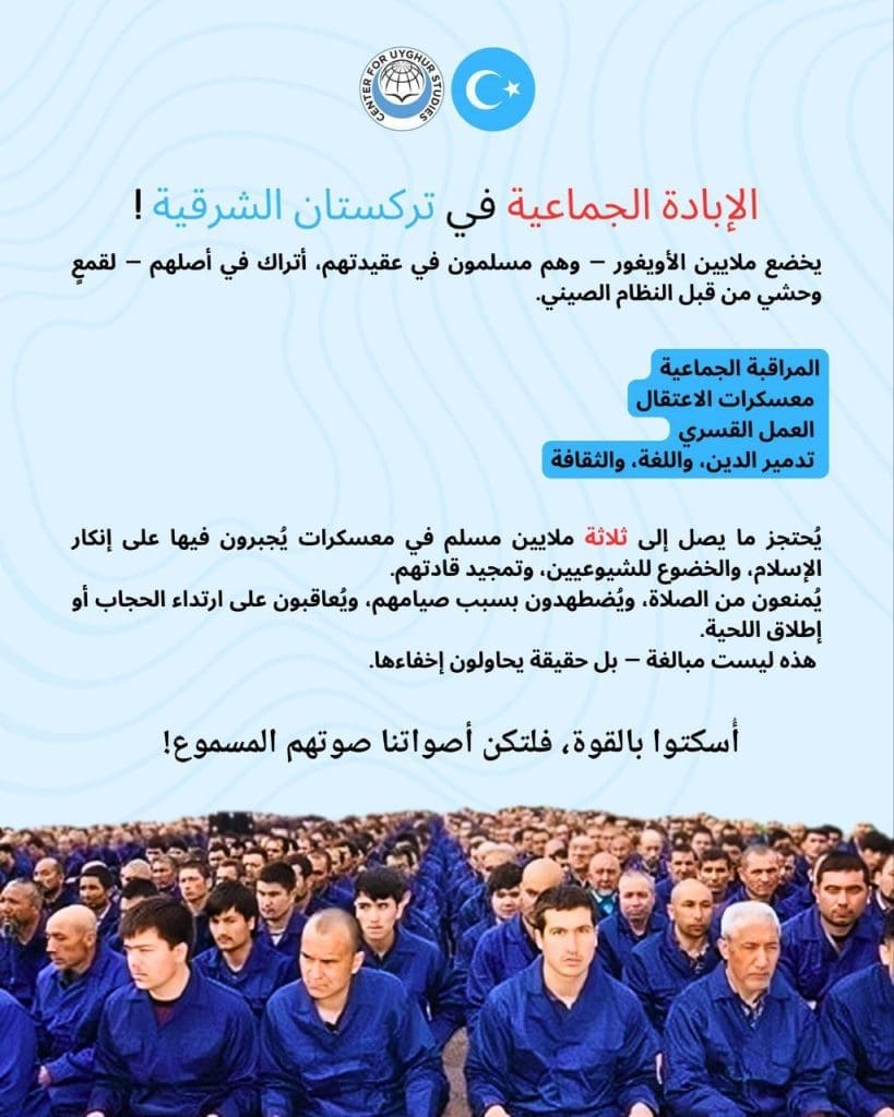 photo 2025 10 18 22 53 34