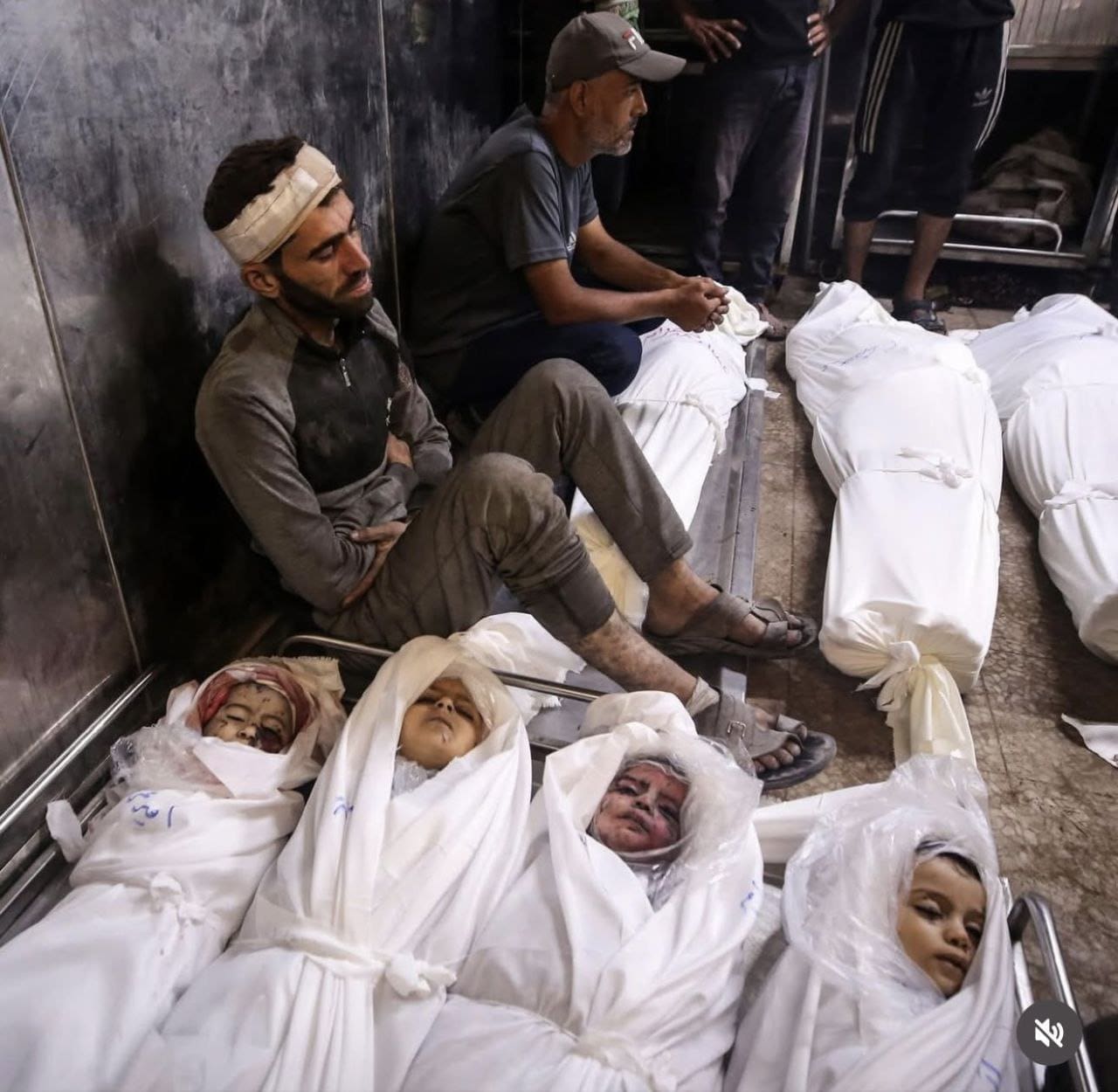 photo 2025 10 18 23 56 46