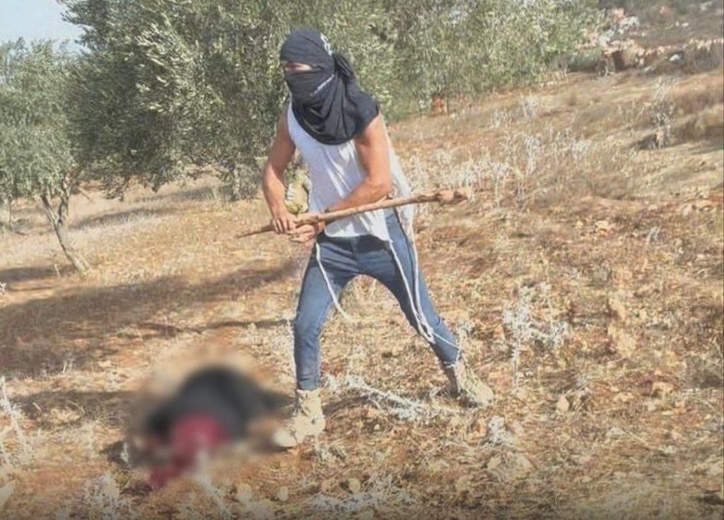 تقرير وصل الأسبوعي للعالم الإسلامي: أبرز أحداث الأسبوع الأخير من ربيع الثاني 13 photo 2025 10 24 19 49 20