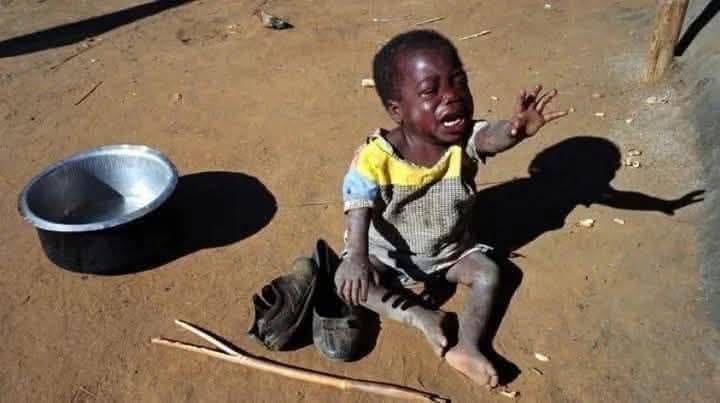 ثلاثة أطفال يموتون يوميًا جوعًا في الفاشر المحاصرة بالسودان بحسب أطباء 30 ثلاثة أطفال يموتون يوميًا جوعًا في الفاشر المحاصرة بالسودان بحسب أطباء