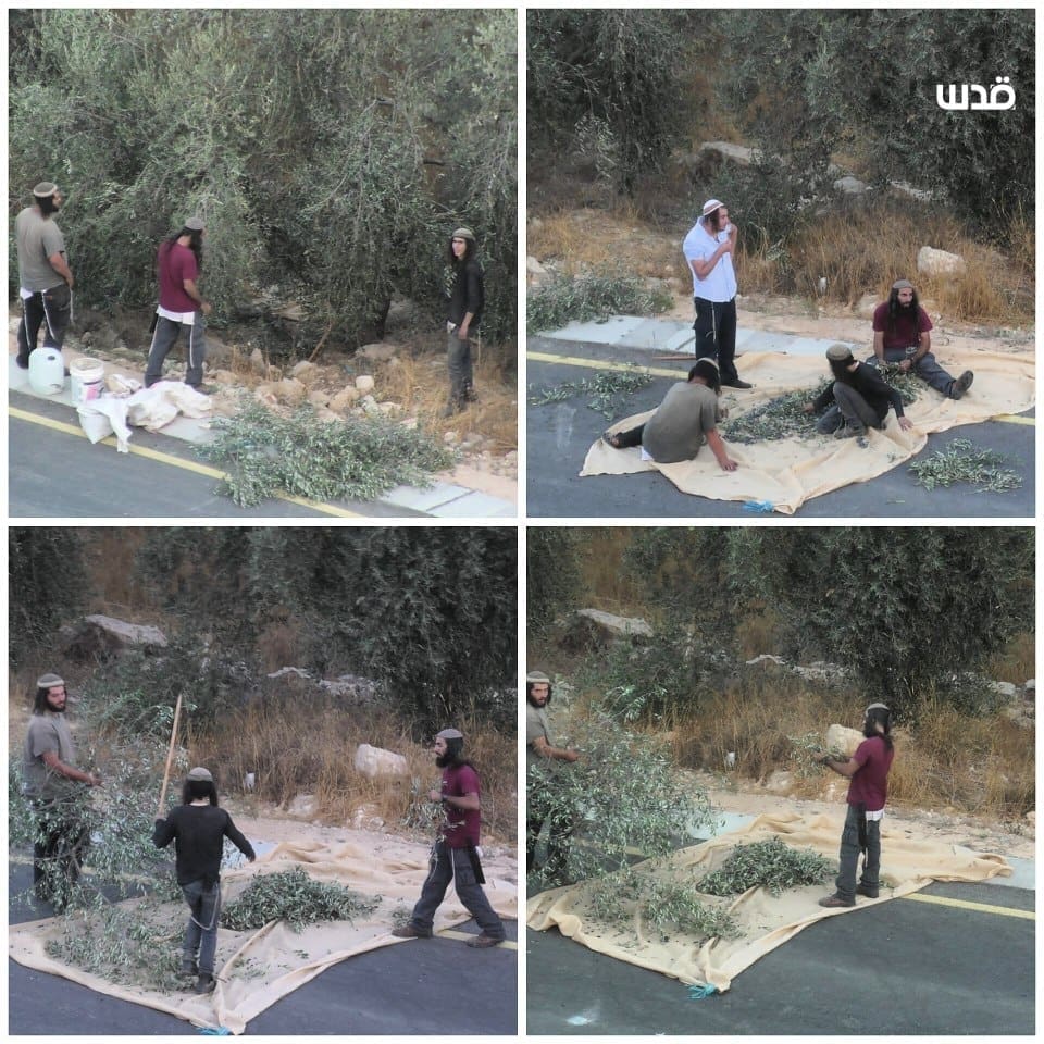 photo ٢٠٢٥ ١٠ ٠٨ ٢٠ ٠٩ ٠٧