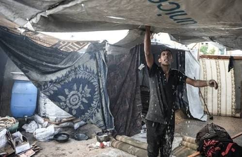 نداءات استغاثة من غزة لإنقاذ العائلات قبل الشتاء 3 IMG 20251113 211040