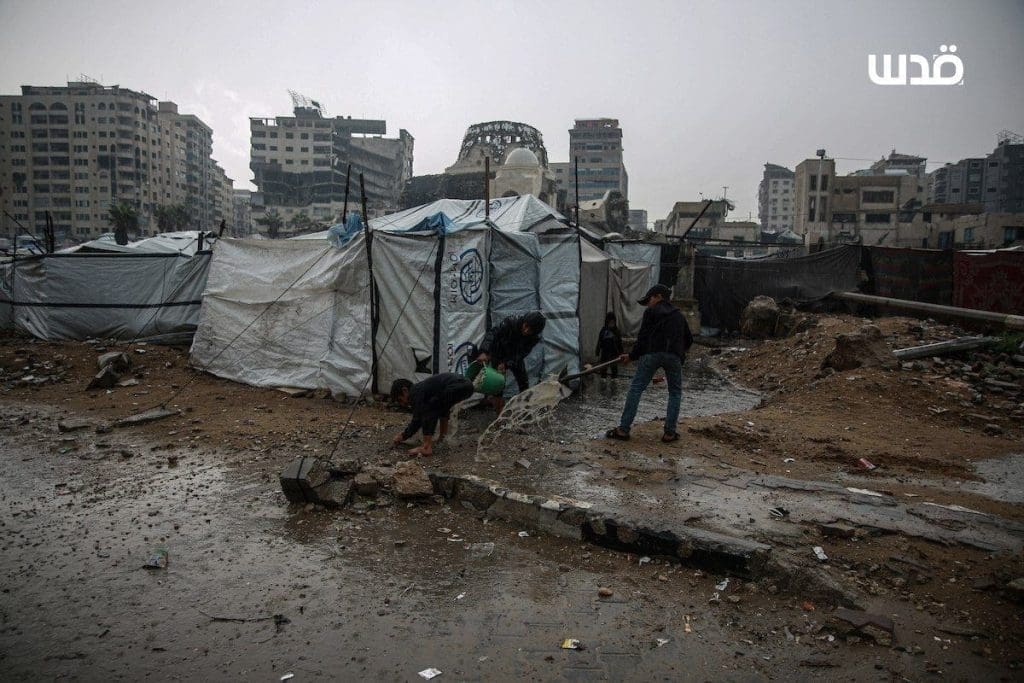 photo ٢٠٢٥ ١١ ١٤ ١٨ ١٤ ٣٣