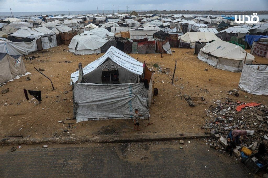 photo ٢٠٢٥ ١١ ١٤ ١٨ ١٤ ٣٤