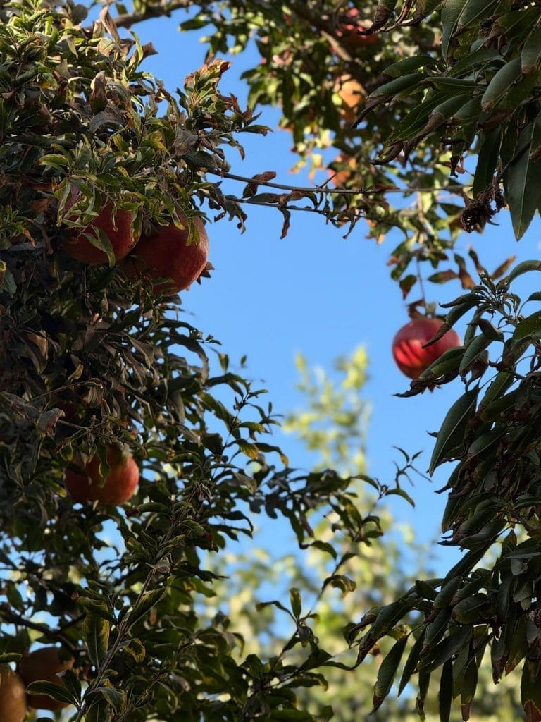 photo 2025 11 07 23 12 12