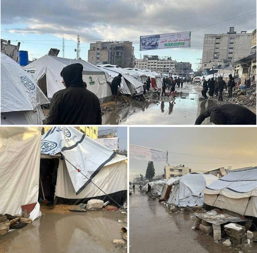 photo 2025 11 15 12 22 27