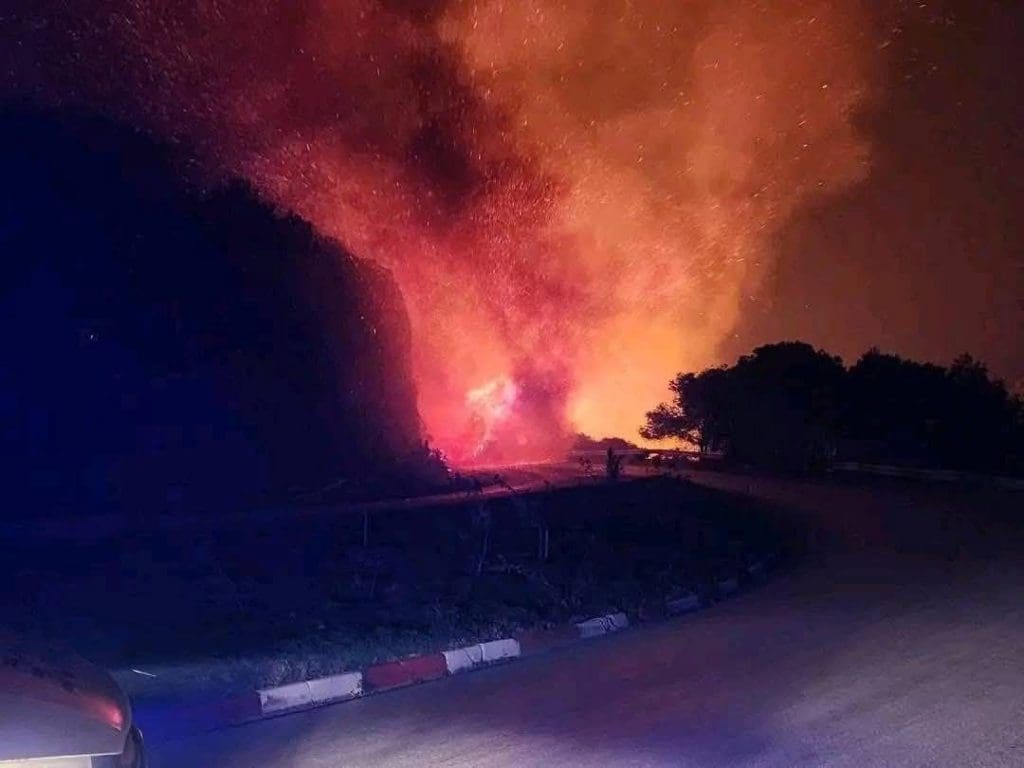 photo 2025 11 15 12 26 37