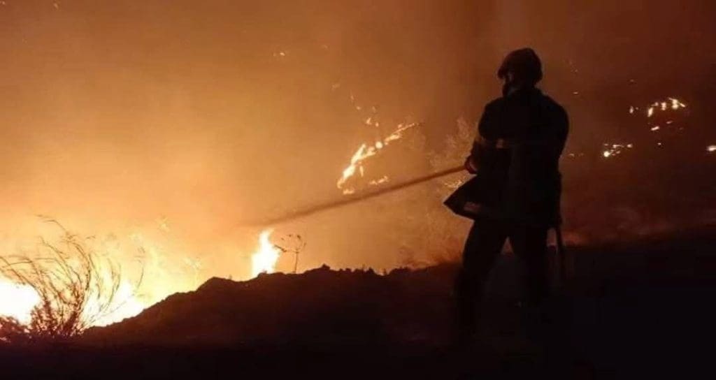 photo 2025 11 15 12 26 40