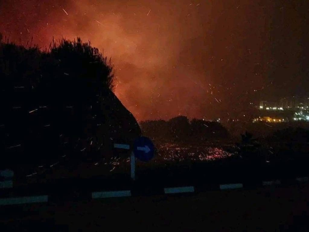 photo 2025 11 15 12 26 44