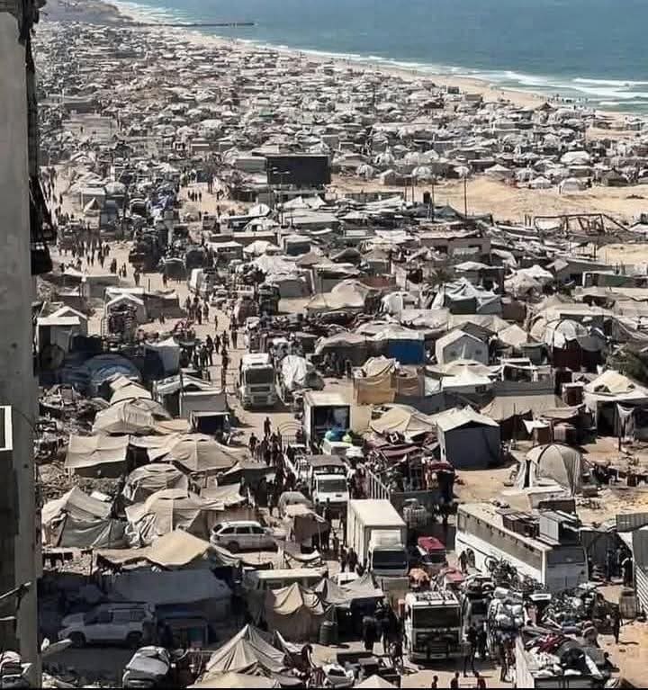 photo 2025 11 15 12 42 46