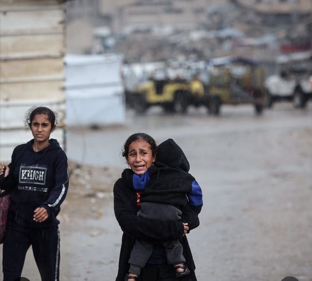 photo 2025 11 15 12 48 47