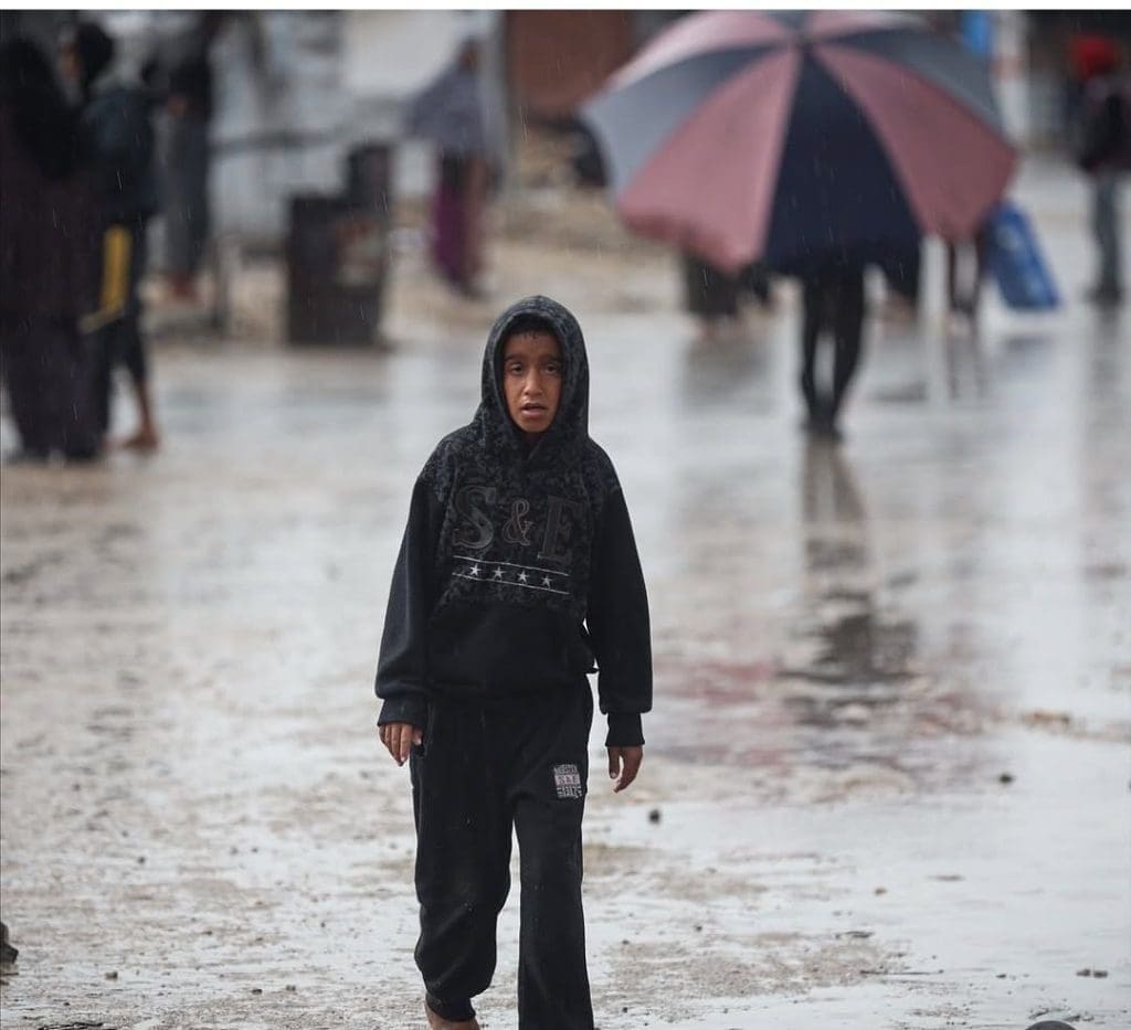 photo 2025 11 15 12 48 51