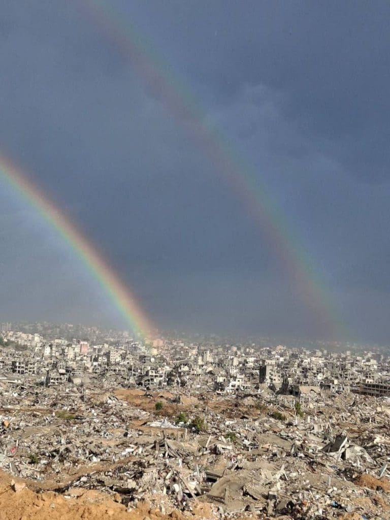 photo 2025 11 15 12 50 29