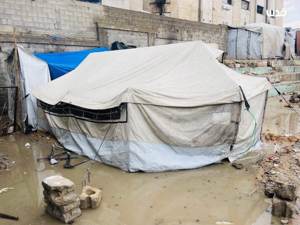 photo 2025 11 15 12 51 26