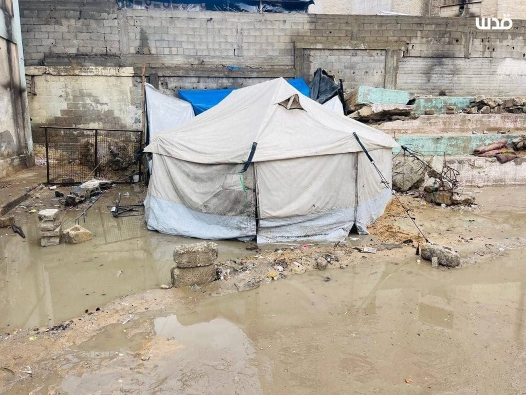 photo 2025 11 15 12 51 29